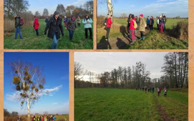 Tageswanderung auf Andrea´s Naturpfad am 13.11.2021